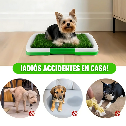 Pee Pad: Tapete sanitario para perros