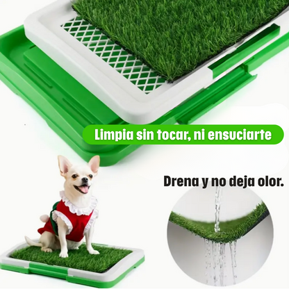 Pee Pad: Tapete sanitario para perros