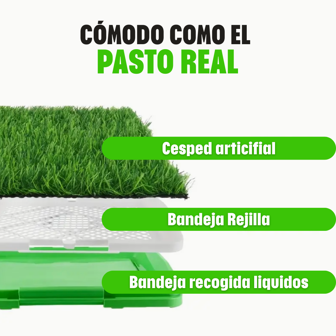 Pee Pad: Tapete sanitario para perros