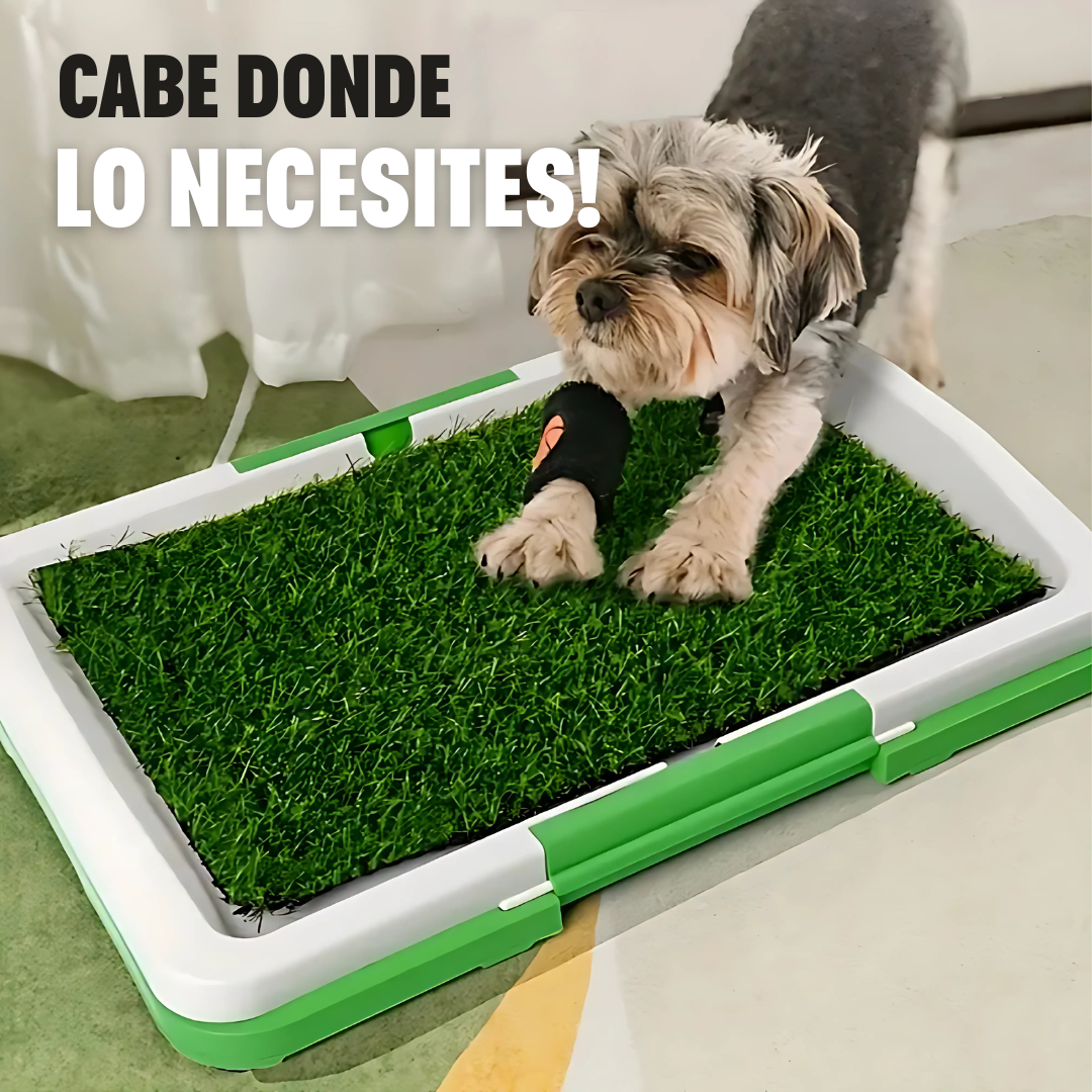 Pee Pad: Tapete sanitario para perros