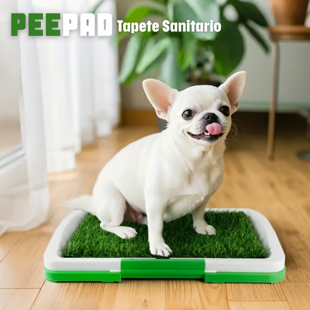 Pee Pad: Tapete sanitario para perros