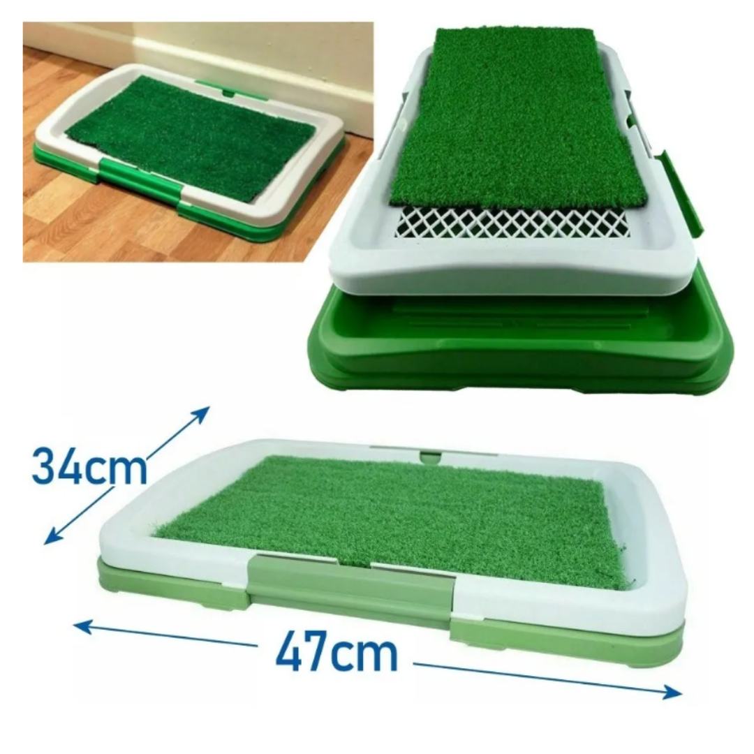 Pee Pad: Tapete sanitario para perros